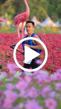 BIB:  <button type="button" onclick="openModal(27582996)" class="btn btn-primary btn-sm float-right" data-toggle="modal" data-target=".modal-high-quality">
                <i class="fa fa-download"></i> Download
                </button>